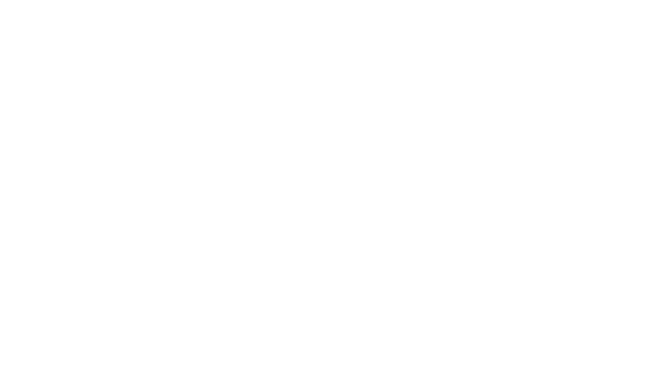 Wonder Cement
